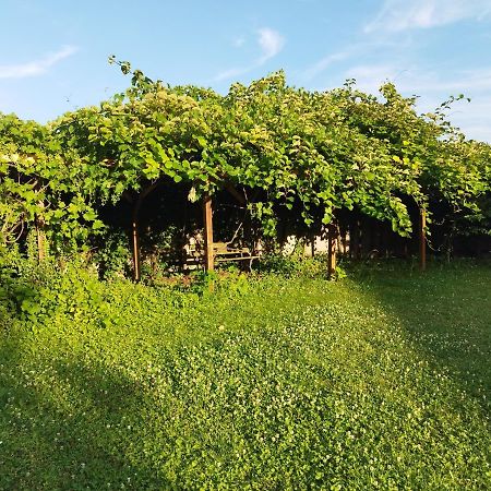 River Side - Cosy - Lot Of Space Huningue Esterno foto