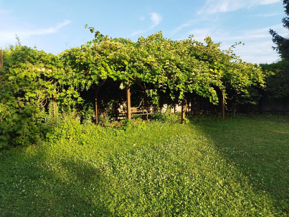 River Side - Cosy - Lot Of Space Huningue Esterno foto